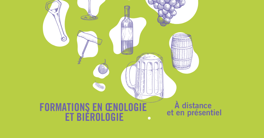 formation oenologie