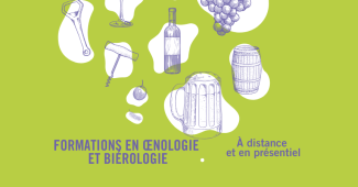 formation oenologie